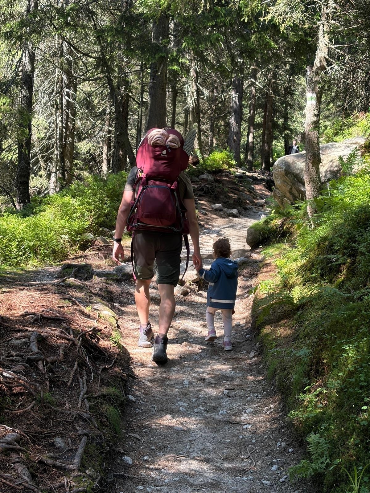 Rodinná turistika po lesnom chodníku